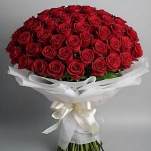 Букет 101 Красная роза Блэк Мэджик #REPLACE_PRED# Оболенске