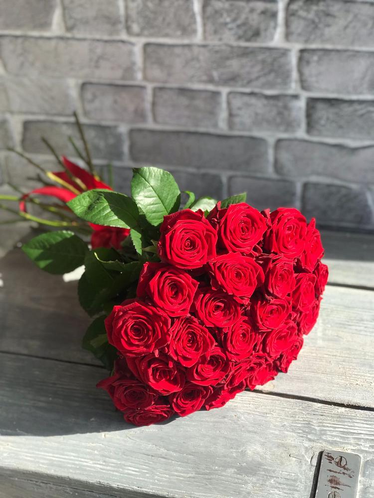 Букет Красные розы Фридом в Оболенске