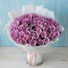Букет цветов из:  Хризантемы в Оболенске