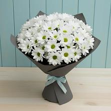 Букет цветов из:  Хризантемы #REPLACE_PRED# Оболенске