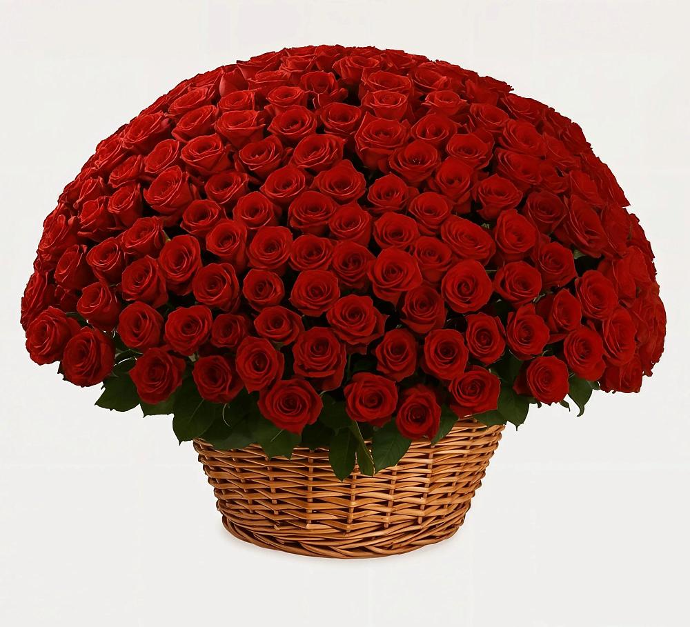 Премиум букет из: Розы в Оболенске