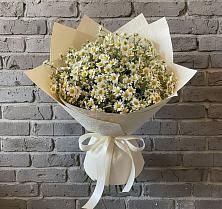 Букет цветов из:  Ромашки #REPLACE_PRED# Оболенске