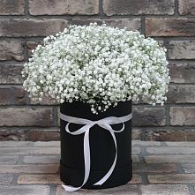 Цветочная композиция из Гипсофила в шляпной коробке в Оболенске