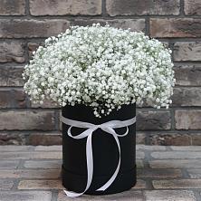 Цветочная композиция из Гипсофила в шляпной коробке в Оболенске